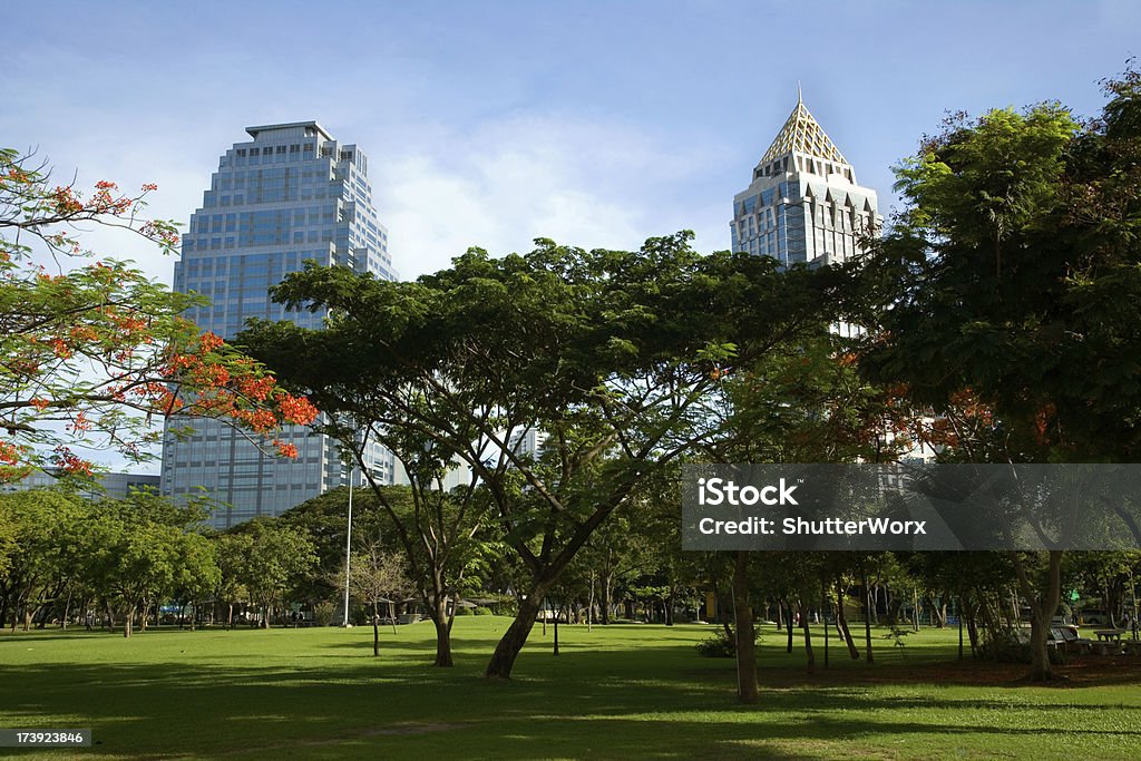 Bangkok Skyline Office Buildings In The Bangkok City Center Skyline. Some Of My Other Bangkok Skyline Photos: Apartment Stock Photo