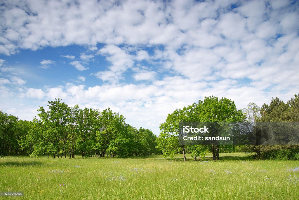 wonderland - Lizenzfrei Abgeschiedenheit Stock-Foto