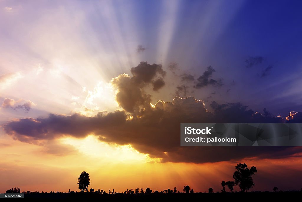 Puesta de sol - Foto de stock de Luz del sol libre de derechos