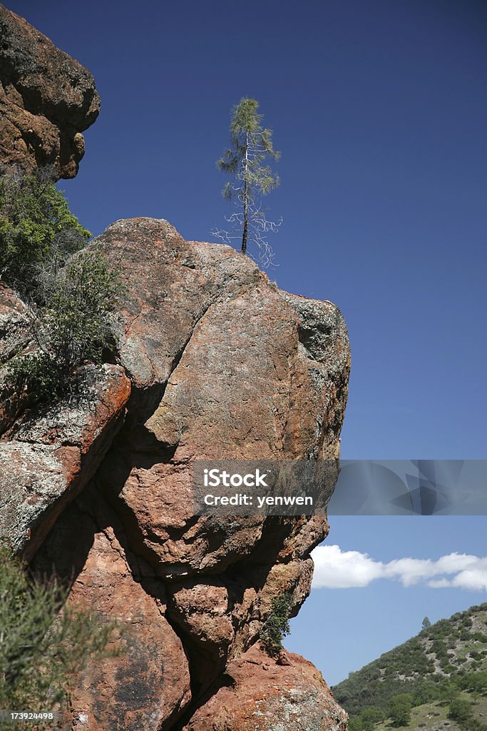 Einsame Baum auf Rock Cliff - Lizenzfrei Baum Stock-Foto