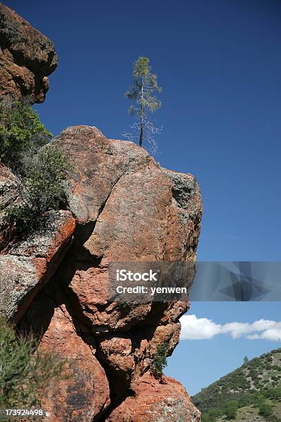 Einsame Baum Auf Rock Cliff Stockfoto und mehr Bilder von Baum - Baum, Blau, Einsamkeit