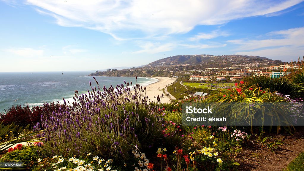 Costa do sul da Califórnia - Foto de stock de Dana Point royalty-free