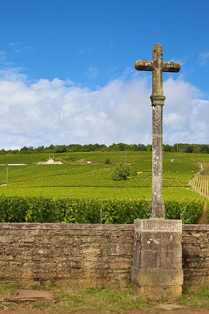Devine Grand Cru stock photo