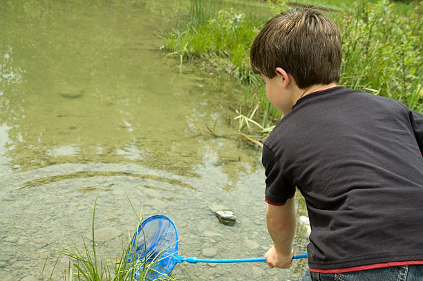 istock Young Boy Hunting for Frogs 173924893