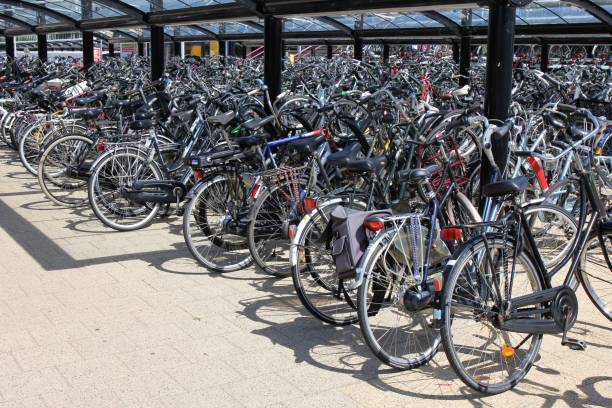 istock bicycle parking lot in the Netherlands 1739249881