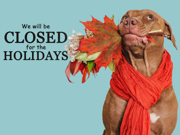 istock Signboard with the inscription We will be closed 1739252561