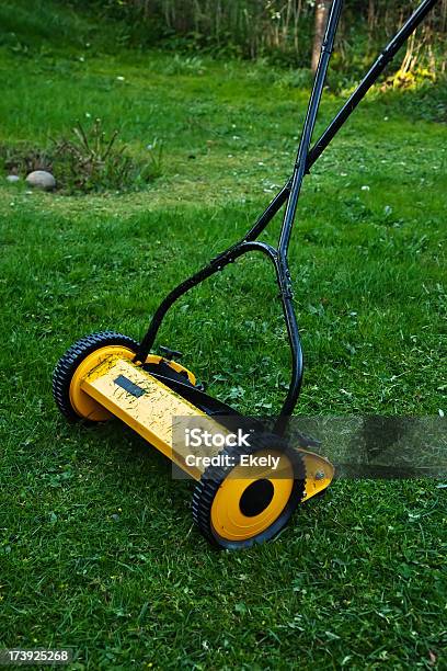 Lawn Mower Stock Photo - Download Image Now - Cutting, Cylinder Mower, Formal Garden