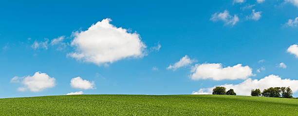 istock Perfect summer green big blue sky background 173925705