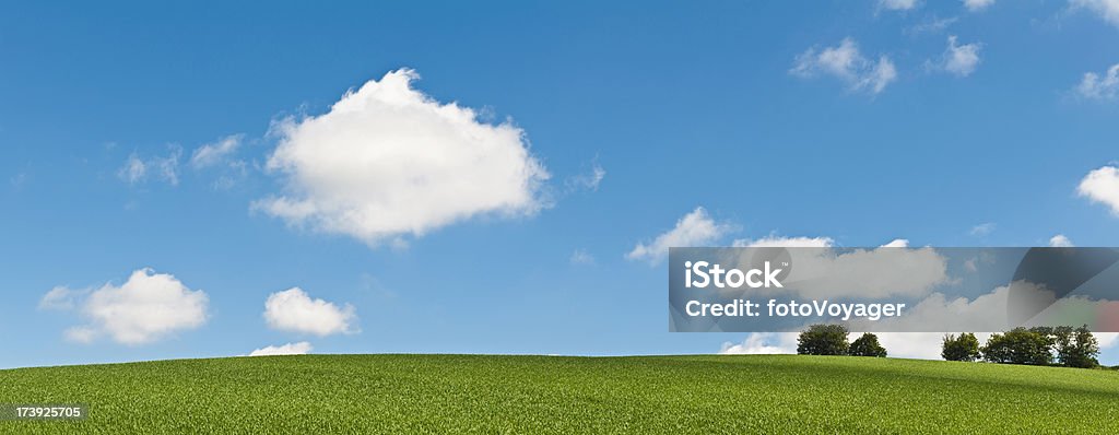 Perfect summer green big blue sky background Bright blue summer skies and white fluffy clouds over a gently curving hillside of verdant farmland in this vibrant panoramic vista. ProPhoto RGB profile for maximum color fidelity and gamut. Agricultural Field Stock Photo