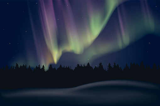 Northern Lights or Aurora Borealis. Polar night.