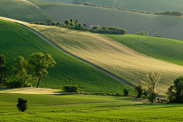 Slopes A farmhouse on the edge of a hill in the mornign light marche italy stock pictures, royalty-free photos & images