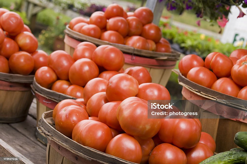 Pomodori biologici - Foto stock royalty-free di Agricoltura