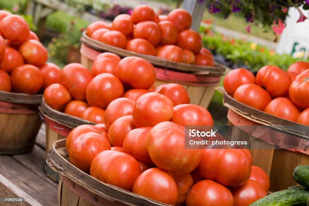 Tomate orgânicos - Foto de stock de Agricultura royalty-free