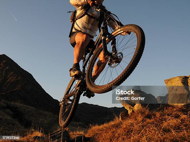 Прыжок Mounatinbike Со Спинойборцовкой — стоковые фотографии и другие картинки Больцано - Италия - Больцано - Италия, Двухколёсный велосипед, Кататься на велосипеде