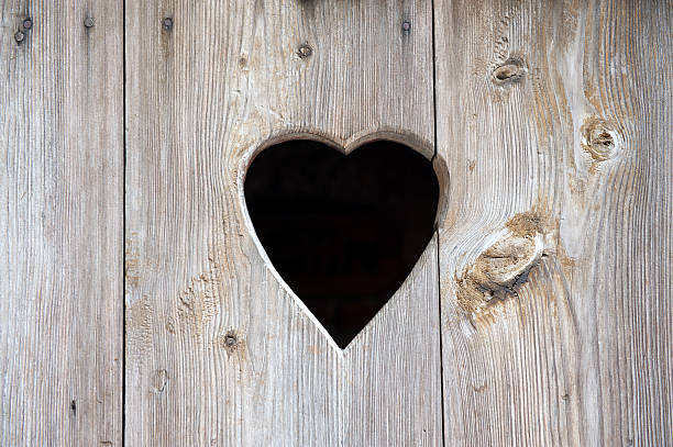 istock Heart in wooden door 173927425