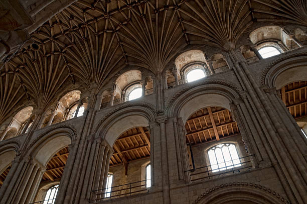 catedral clerestory - fan vaulting imagens e fotografias de stock