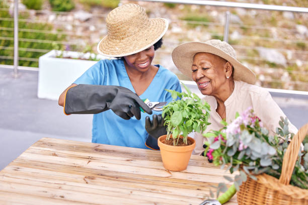 Senior woman, gardening and nurse help in home patio with support, care and plant. Healthcare, retirement and nursing outdoor with happy elderly female person with a smile from basil herb wellness mujer mayor, jardinera y enfermera ayudan en el patio de la casa con apoyo, cuidado y planta. cuidado de la salud, jubilación y enfermería al aire libre con una persona anciana feliz con una sonrisa del bienestar de la hierba de albahaca