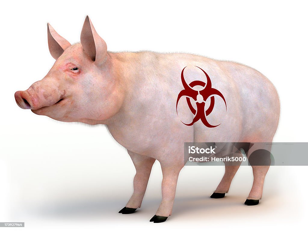 La gripe porcina - Foto de stock de Afección médica libre de derechos