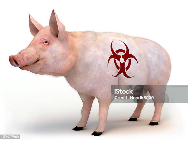 La Gripe Porcina Foto de stock y más banco de imágenes de Afección médica - Afección médica, Animal, Antihigiénico