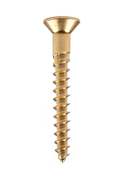 Wood screw isolated on white stock photo
