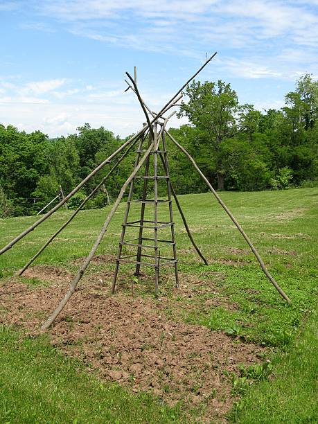istock Wooden Trellis 173928134