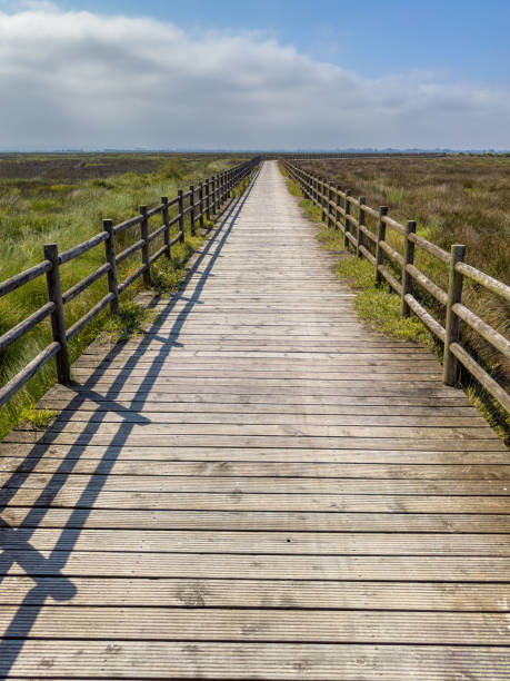 istock Eco path wooden walkway, ecological trail path 1739284560