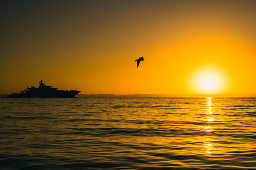 Tranquil sunset over the Mar de Cortez with a prominently silhouetted yacht anchored in the distance. A lone seagull soars across the golden-hued sky, while the setting sun casts a shimmering light path on the serene waters. The distant outlines of landforms offer contrast in this panoramic, high-contrast photo taken near La Paz, Baja California Sur, Mexico.