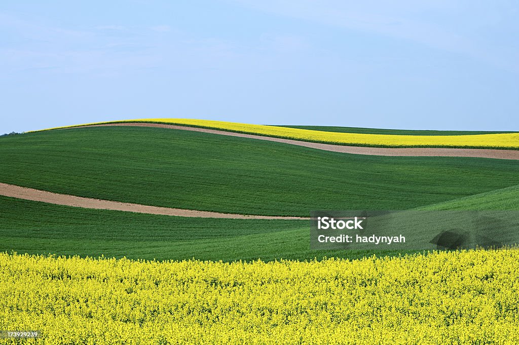 Paisaje primaveral - Foto de stock de Campo - Tierra cultivada libre de derechos