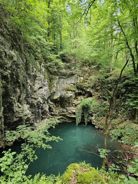 istock Lake in the woods 1739293301