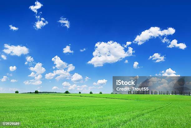 Campos El Cielo Azul Y Nubes Blancas Foto de stock y más banco de imágenes de Aire libre - Aire libre, Azul, Belleza de la naturaleza