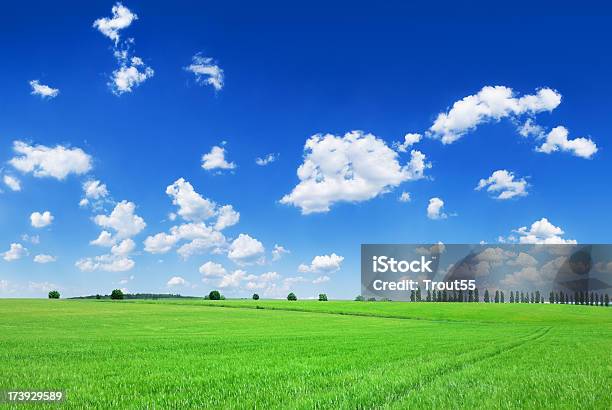 Photo libre de droit de Champs Le Ciel Bleu Et Nuages Blancs banque d'images et plus d'images libres de droit de Beauté de la nature - Beauté de la nature, Blanc, Bleu