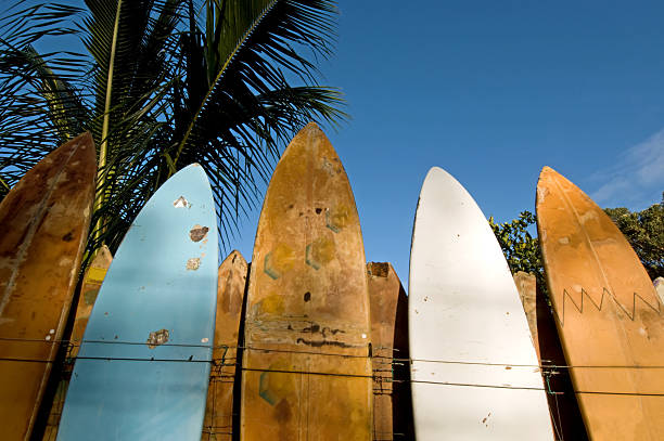 istock Surfboard fence lit by golden sunrise 173930383