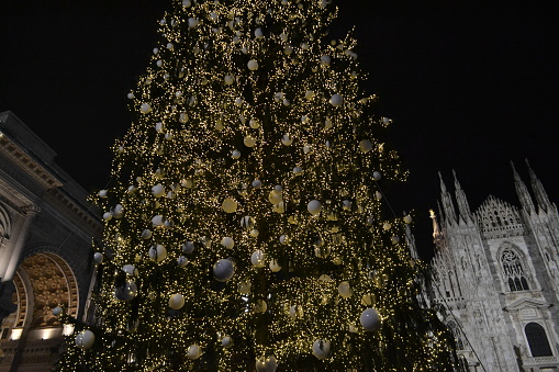 Close-up view of the Christmas tree in the Duomo square of Milan in the dark hours.