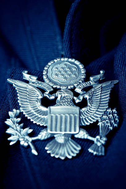 아메리칸이글 - symbol military star eagle 뉴스 사진 이미지