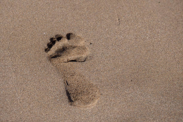 istock Close-up single footprint in the sand 1739307700