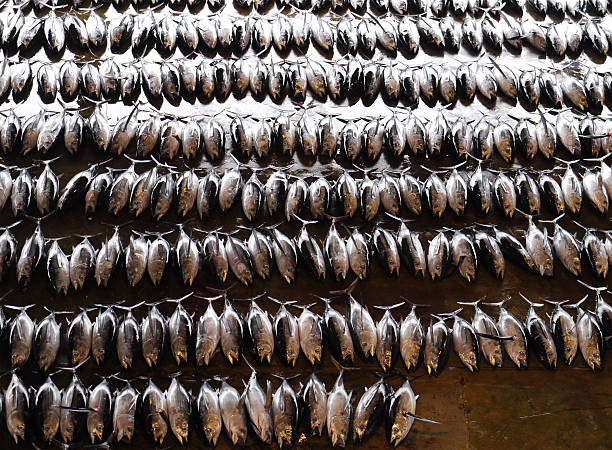 japanische thunfisch im markt - fish fish market catch of fish market stock-fotos und bilder