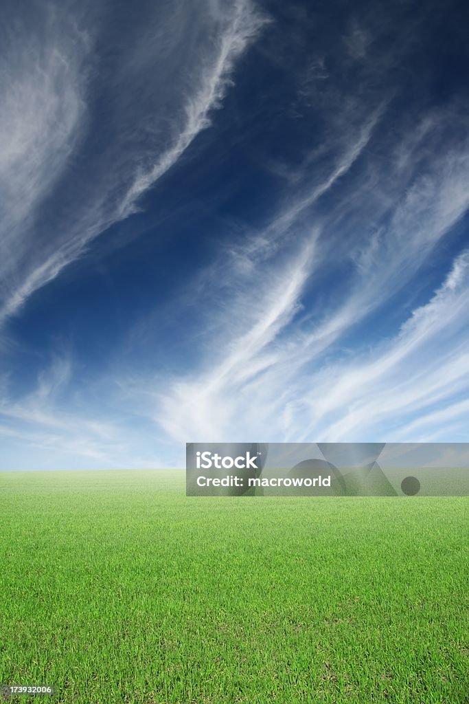 Verde paisaje de campo - Foto de stock de Agricultura libre de derechos