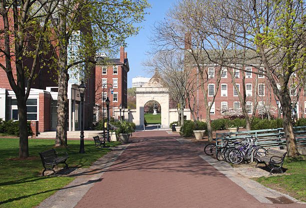 Brown University Brown University is located in Providence, Rhode Island, and a member of the Ivy League. brown university stock pictures, royalty-free photos & images