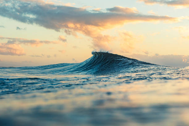 istock Wave forming in the ocean with golden light 1739326413