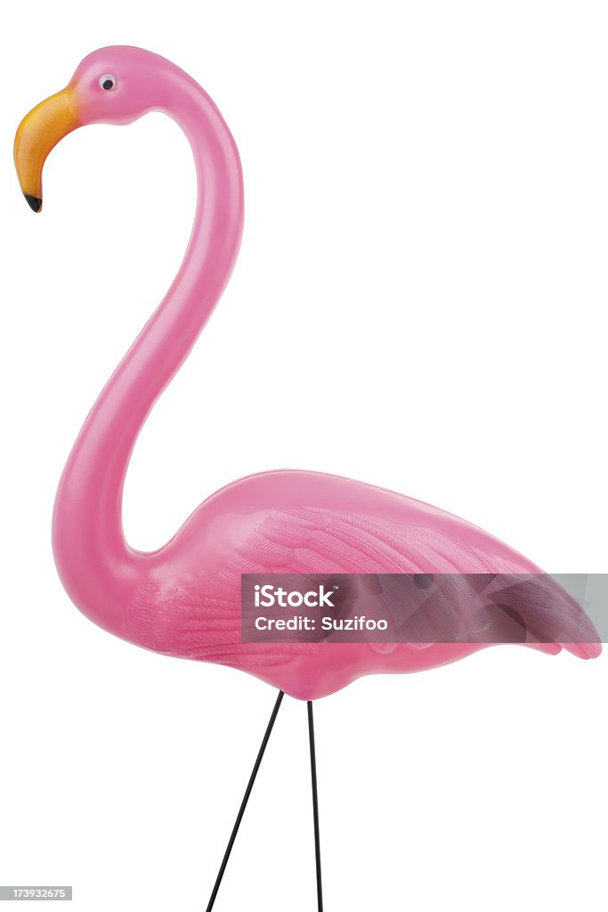Różowy flamingo (XXXL - Zbiór zdjęć royalty-free (Plastikowy flaming)