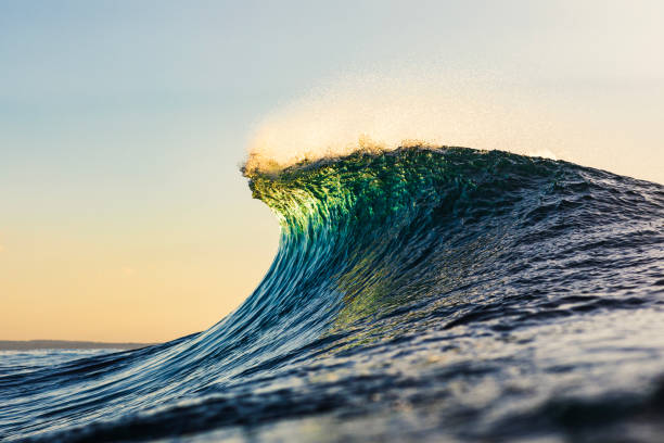 istock Wave forming in the ocean with golden light 1739327731