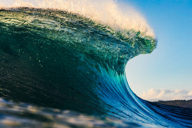 istock Wave forming in the ocean with golden light 1739327734