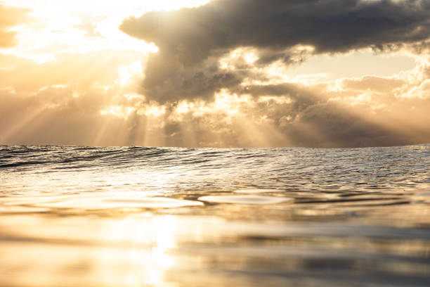 Sunrise with dramatic light rays reflecting off the surface of the ocean in golden light.