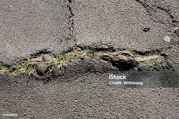 Tree Root Rip Up Pavement Tree Root Crack Pavement Damage Asphalt Surface Stock Photo - Download ...