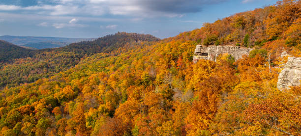 istock White Rock Mountain, Ozark National Forest 1739329334