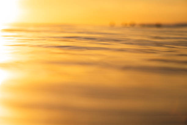 Smooth surface texture of the ocean in golden light.