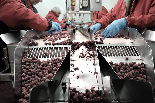 istock Food industry work. People, human workers. 173933345