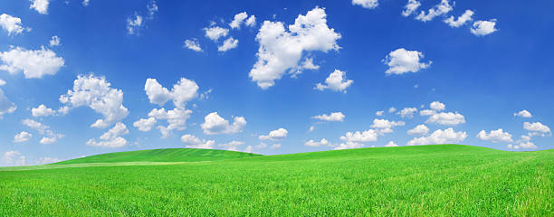 istock Green field and white clouds in the blue sky 173933358