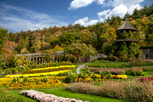 Flowers in Bloom at Mohonk Gardens, situated in the Shawangunk Mountain Ridge in New Paltz, New York