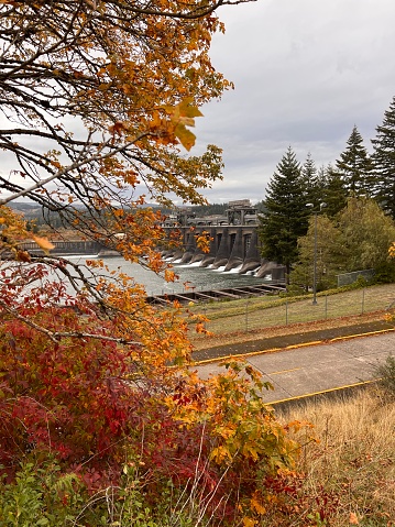 Fall at the dam
